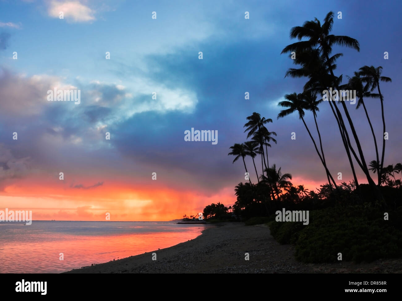 Beautiful sunset beach trees hi-res stock photography and images - Alamy