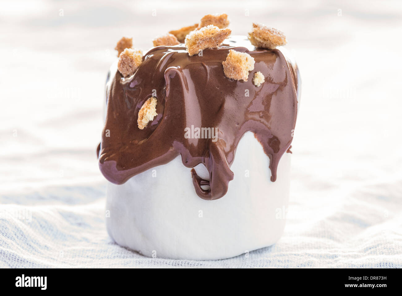 Traditional s'mores deconstructed as marshmallows dipped in milk