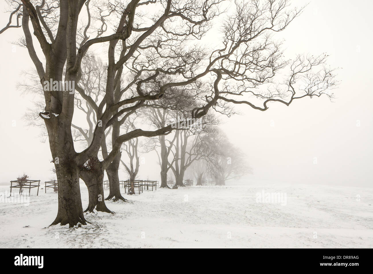 Winters day on Linley Hill, Shropshire, England, UK Stock Photo