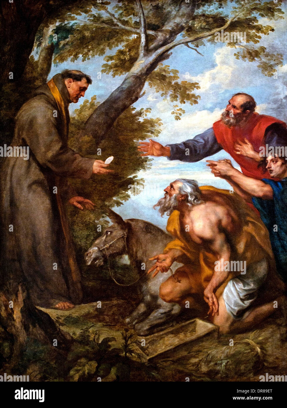 The Miracle of the mule or Miracle of St. Anthony of Padua in Toulouse 1627 Anthony Antoon Anton van Dyck 1599-1641 Flemish Stock Photo