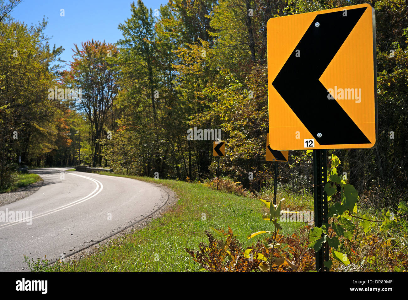 A distinct yellow and black road curve ahead sign in the foreground with a road curving through a forest in the background. Stock Photo