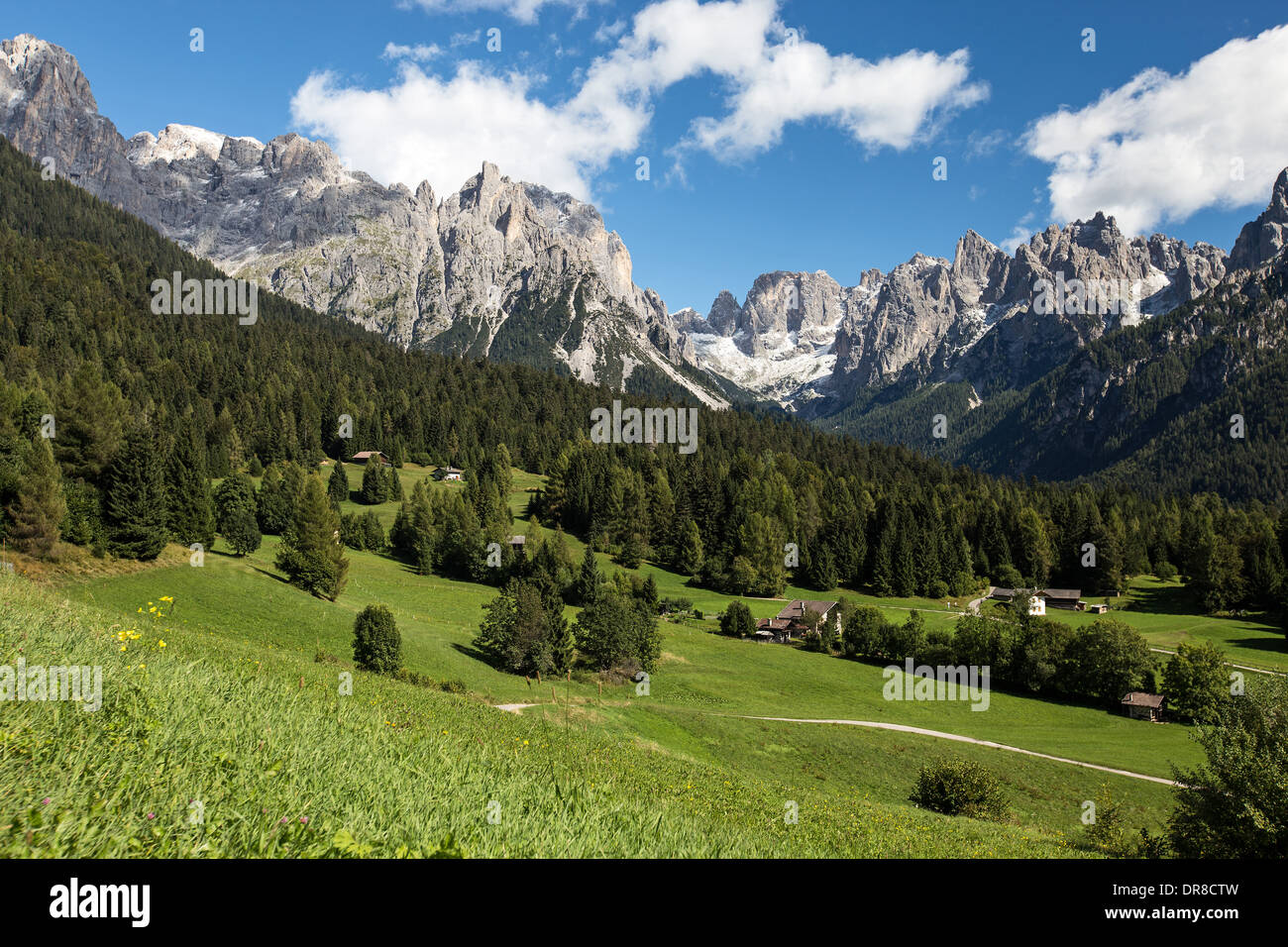 The Val Canali valley, view from Piereni. The Pale di San Martino mountain group. The Dolomites of Trentino. Italian Alps. Stock Photo