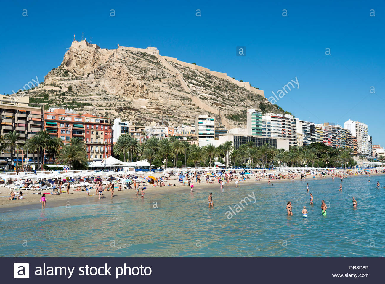 Escorts on the costa blanca spain High Class Independent Escort