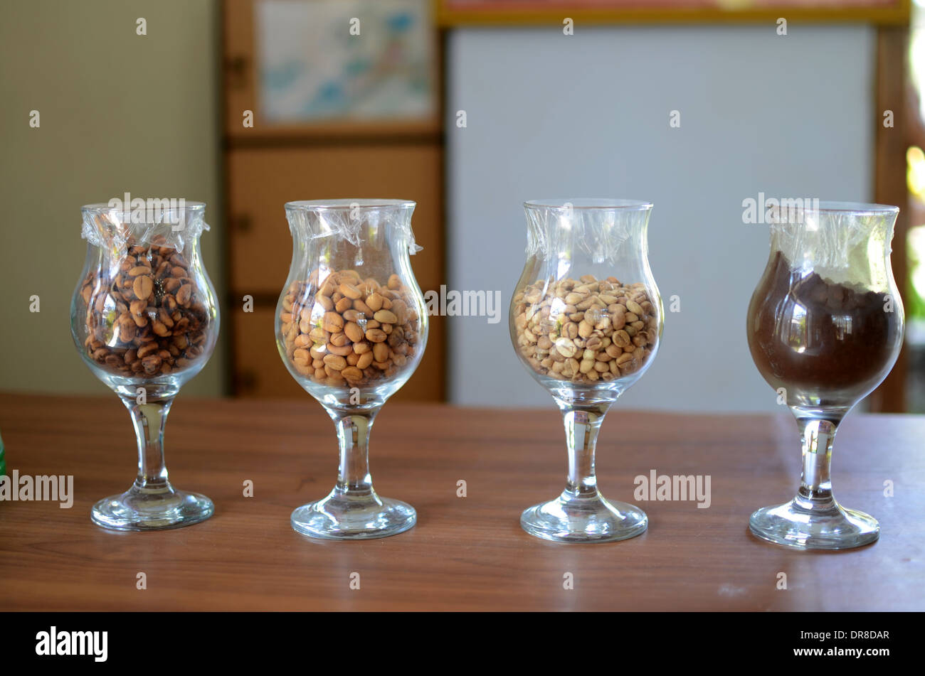 Coffee beans in glasses at the Luwak Mas coffee factory in Pranggang Village Stock Photo Alamy