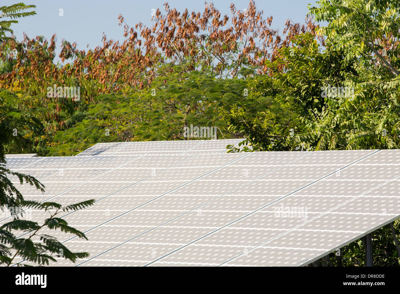 Solar panels providing electricity at the Barefoot College in Tilonia, Rajasthan, India. Stock Photo