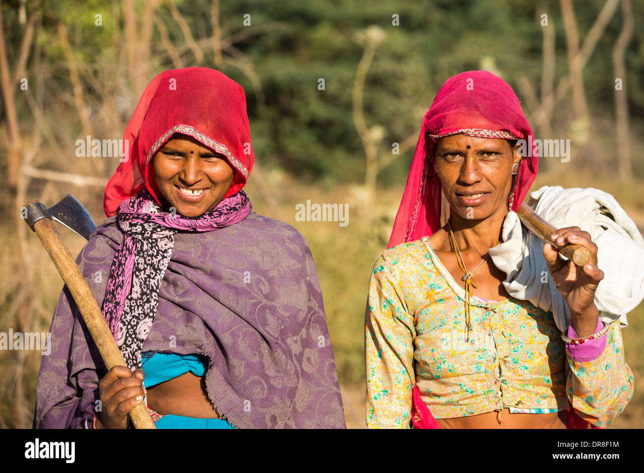 Young woman in Rajasthan, India, going out into the bush to chop down wood for cooking fuel. Stock Photo