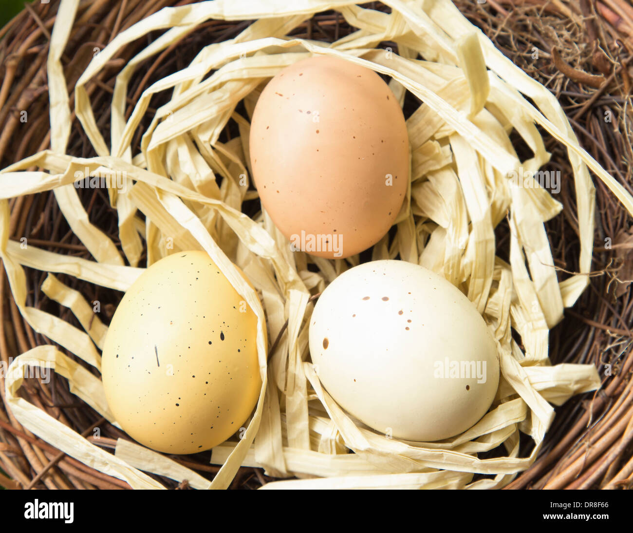 Three colored, spotted eggs in a nest Stock Photo