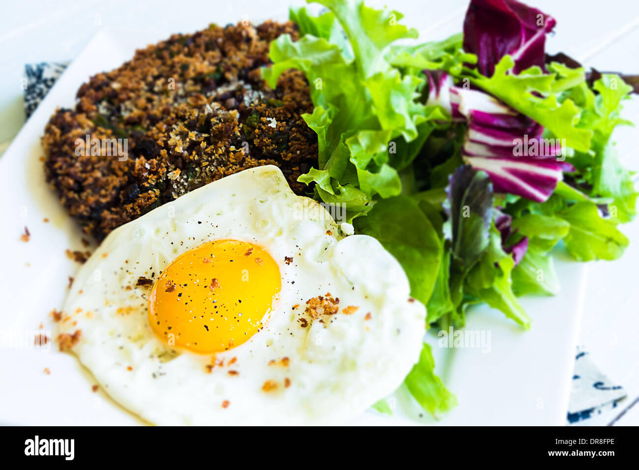 Healthy meal of black bean cake with mixed greens and a fried egg Stock