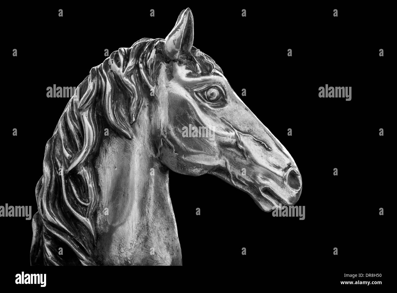Silver Horse Head Stock Photo
