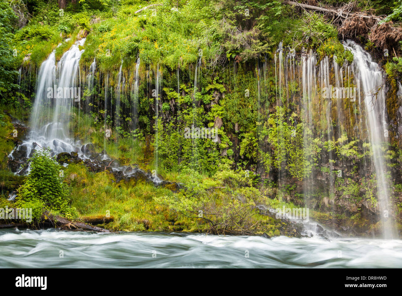 Mossbrae Falls and Sacramento River, Dunsmuir, California Stock Photo