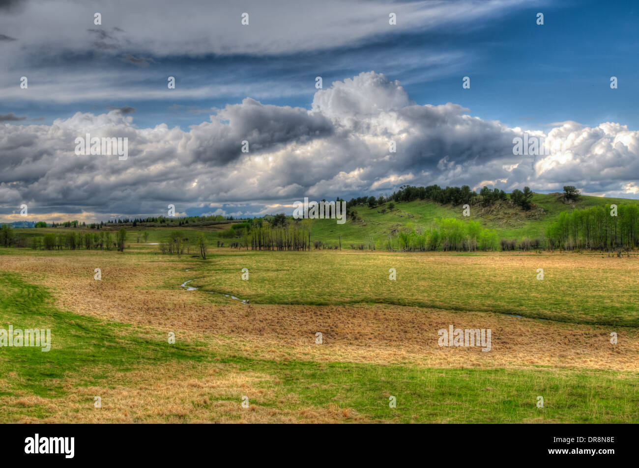 Foothills range hi-res stock photography and images - Alamy