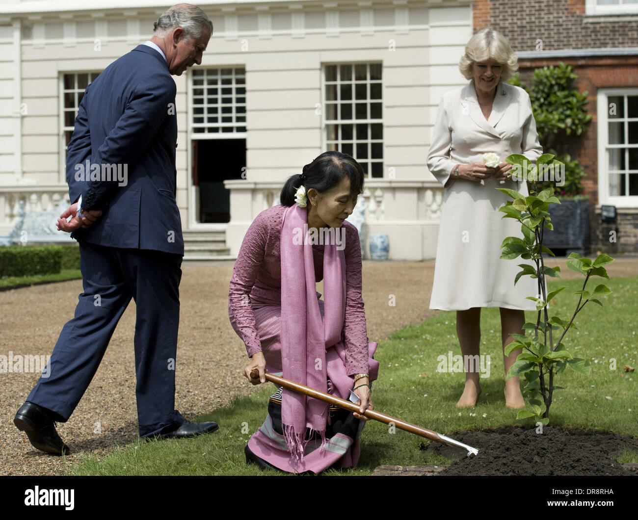 Myanmar democracy icon Aung San Suu Kyi plants a tree as Britain's ...