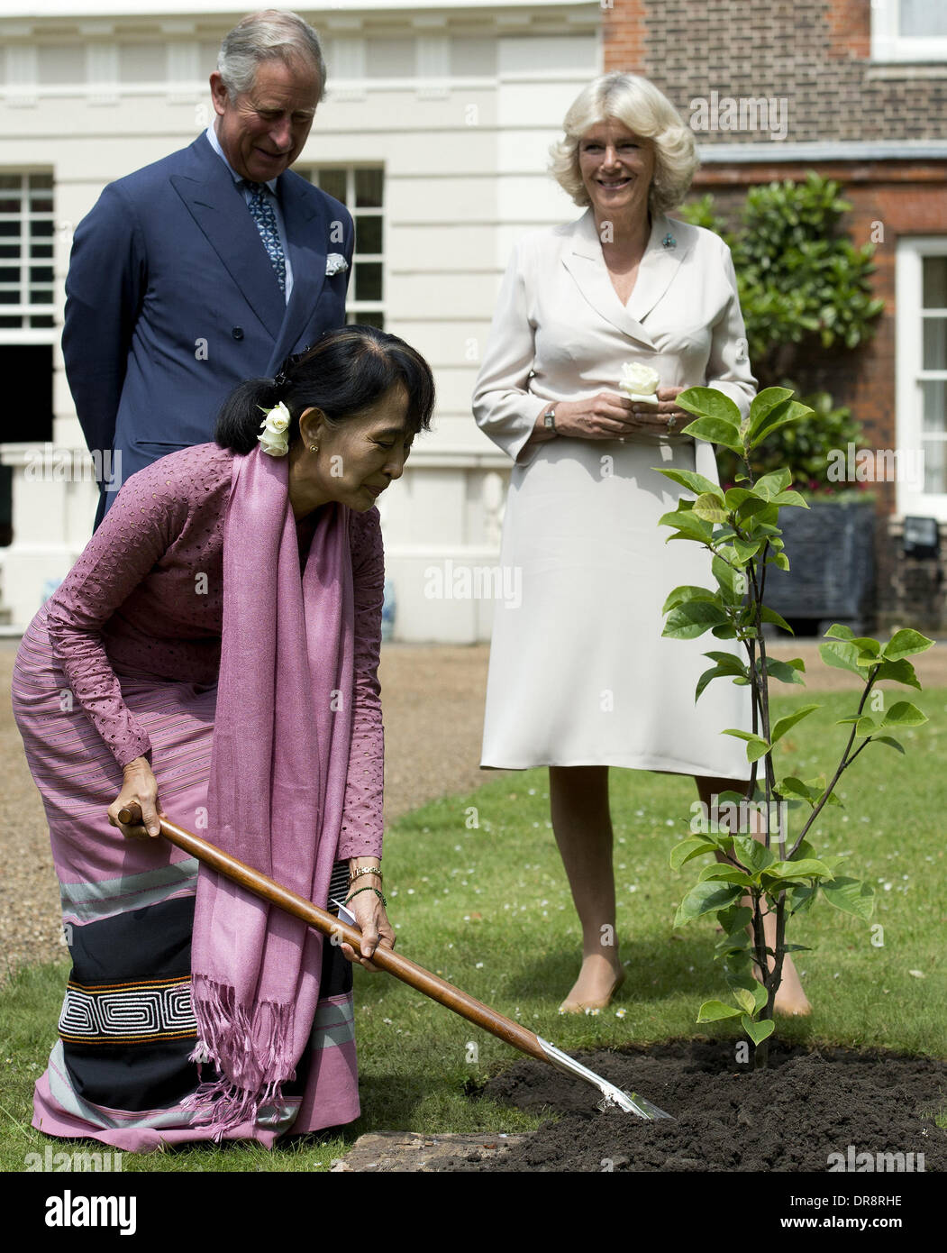 Myanmar democracy icon Aung San Suu Kyi plants a tree as Britain's ...
