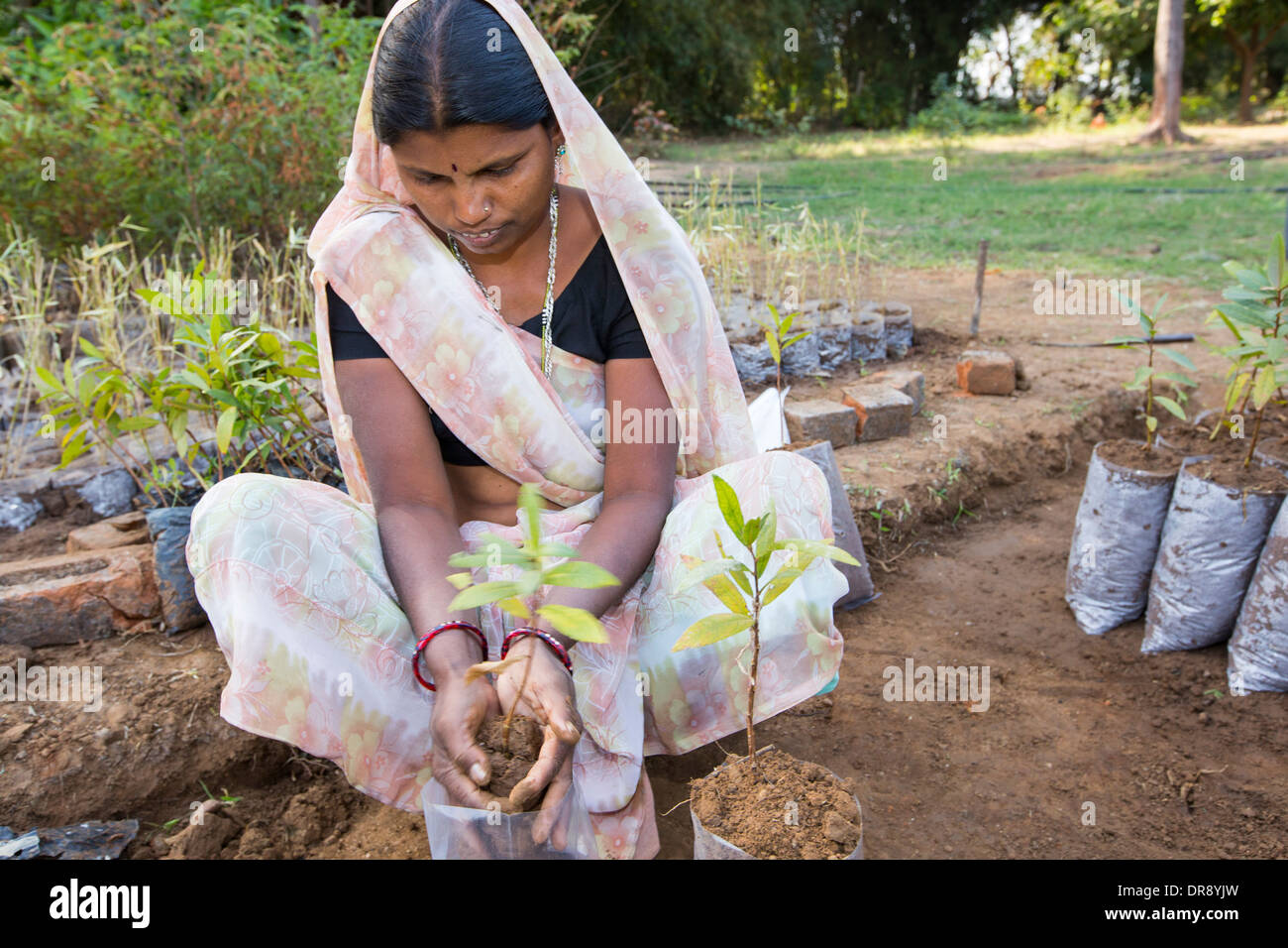 A women planting trees at The Muni Seva Ashram in Goraj, near Vadodara, India Stock Photo