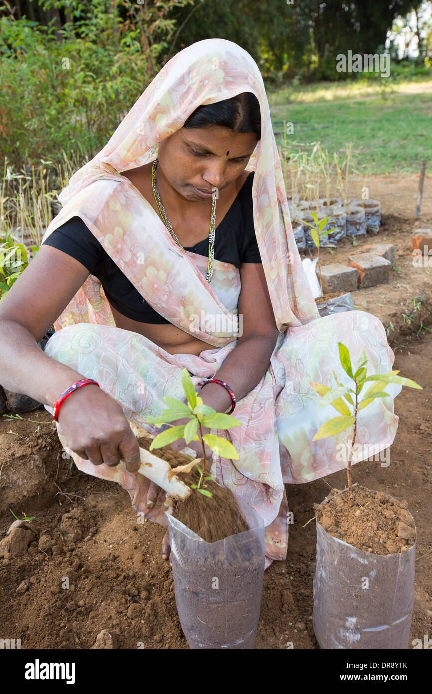 A women planting trees at The Muni Seva Ashram in Goraj, near Vadodara, India Stock Photo