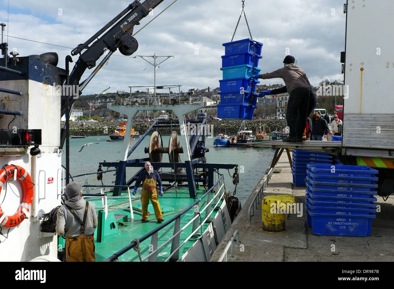 Fishermen at Howth harbour Dublin unload their fish catch. Stock Photo