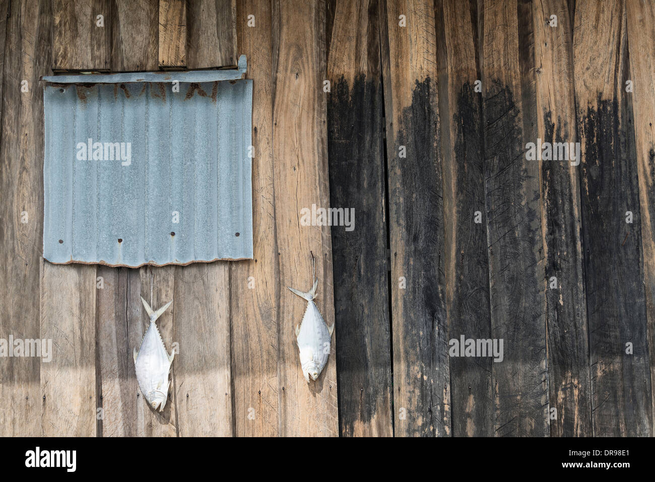 fish drying outside rustic fisherman old wooden house in koh rong cambodia Stock Photo
