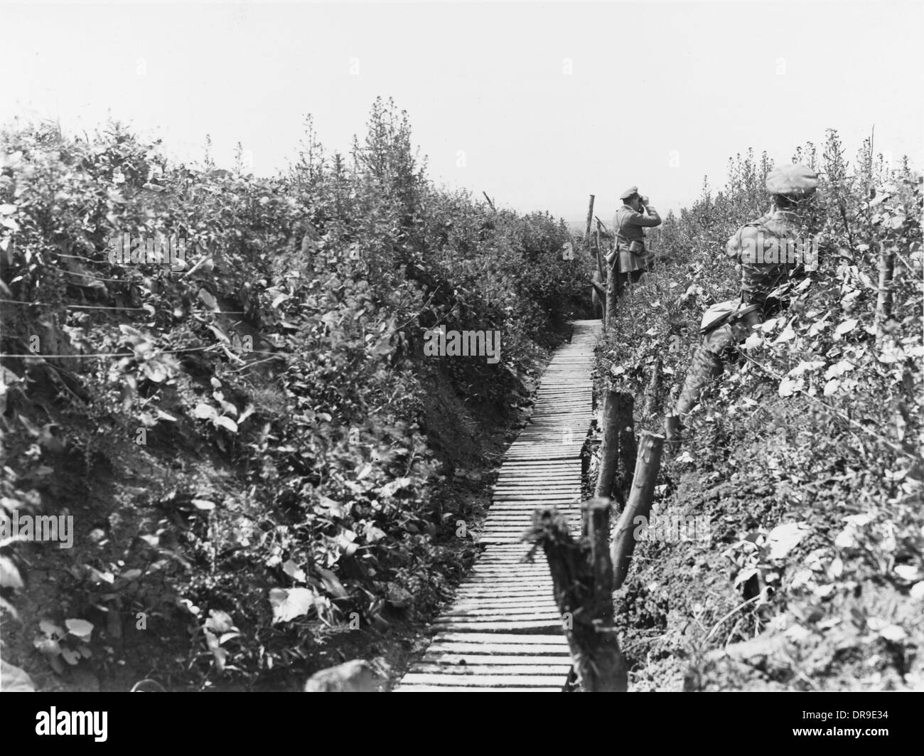 Battle of albert 1916 Black and White Stock Photos & Images - Alamy