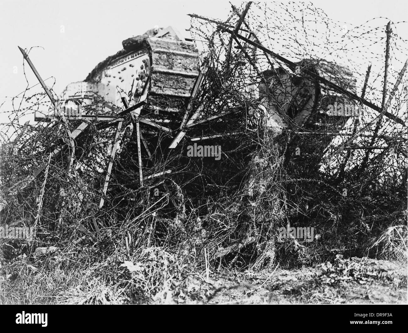 F1 tank passing through barbed wire, WW1 Stock Photo 65977614 Alamy