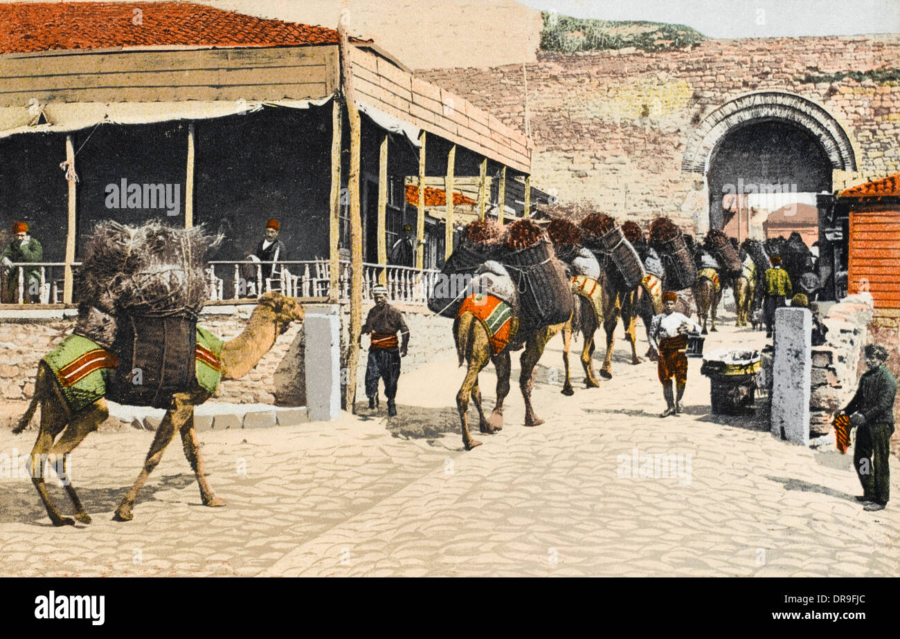 Famous Historical Figures Who Used Camels As Transportation – IRYRK