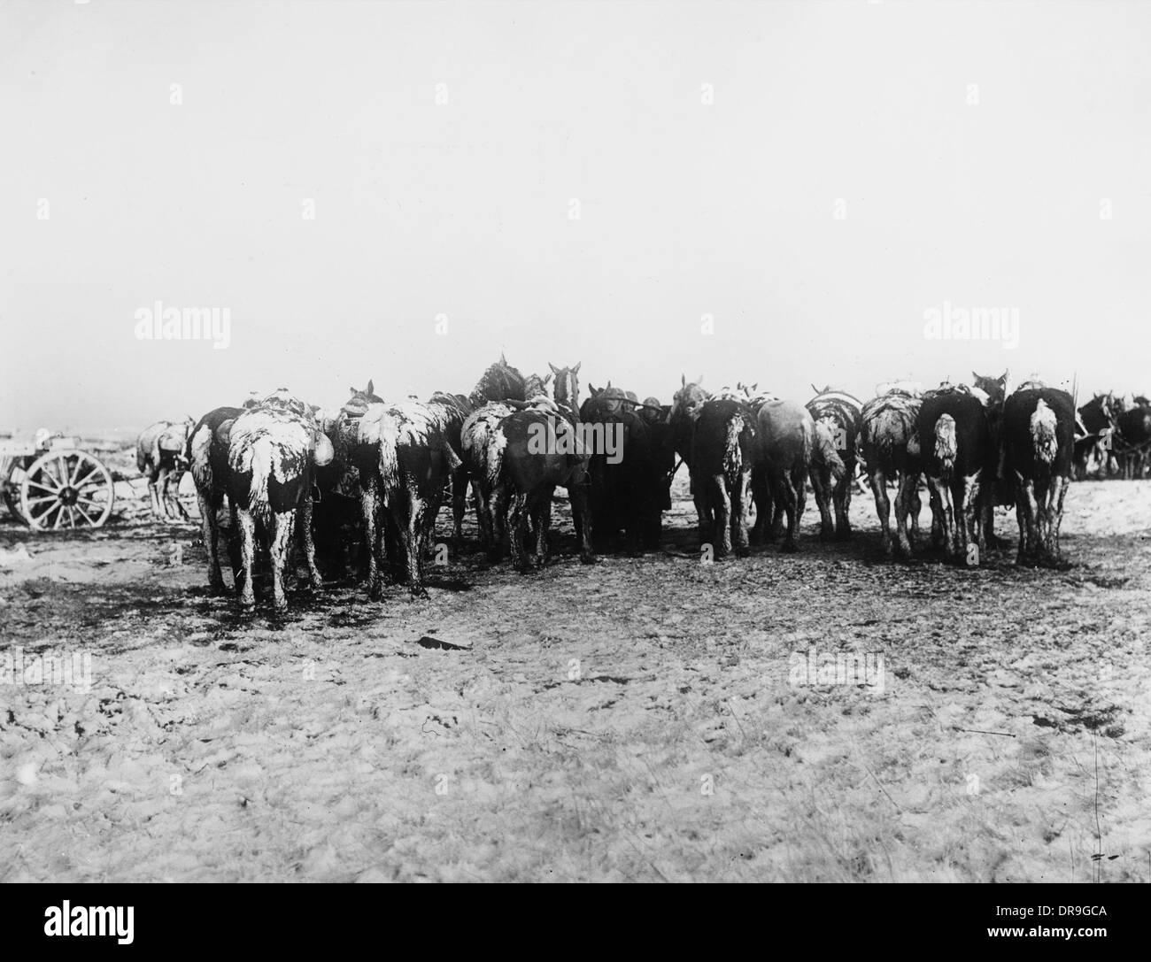 British soldiers arras wwi Black and White Stock Photos & Images - Alamy