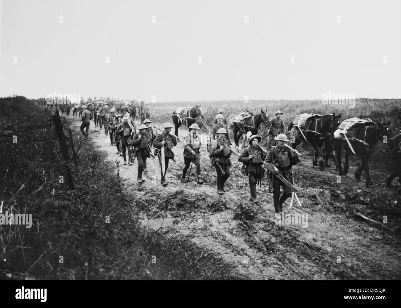 Battle of cambrai 1917 stock photo alamy