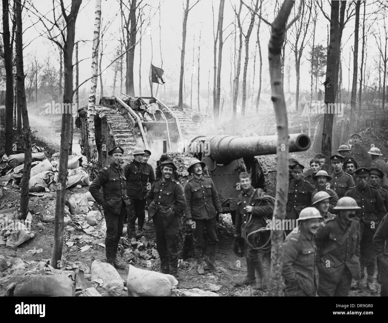 Battle of cambrai 1917 stock photo alamy