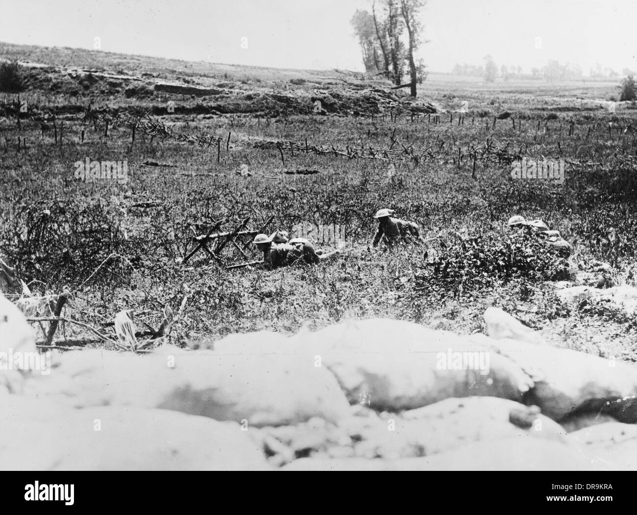 Battle of Albert 1916 Stock Photo Alamy