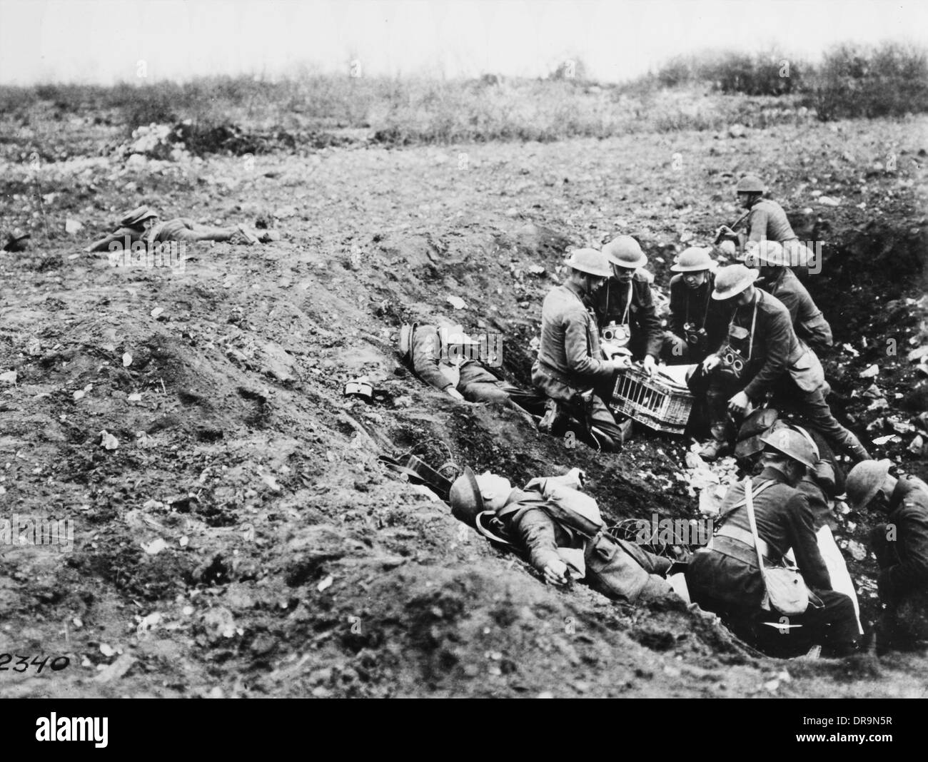 Western Front, France, 1918 Stock Photo - Alamy