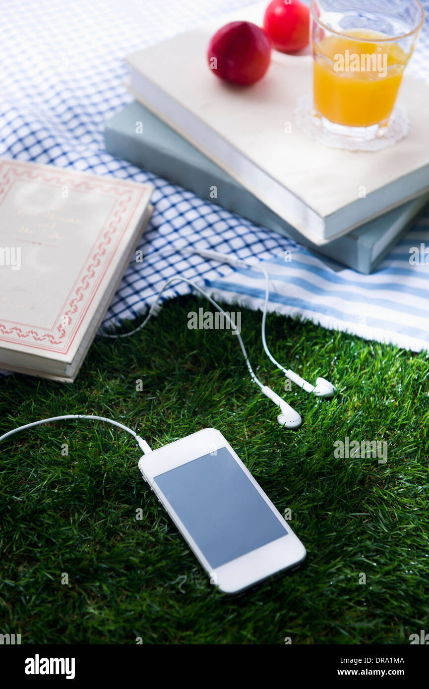 The Plum Book High Resolution Stock Photography And Images Alamy