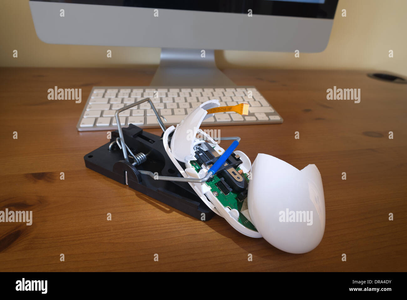 Computer mouse caught and broken in two in a mousetrap rattrap with inners wires  hanging out unable to login to pc Stock Photo