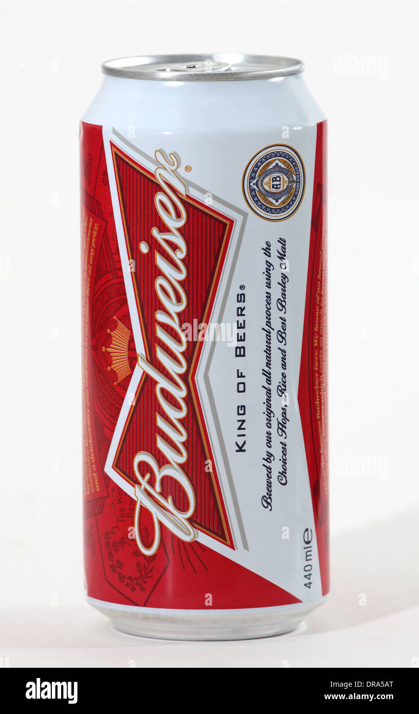 Can of Budweiser beer on white background Stock Photo Alamy