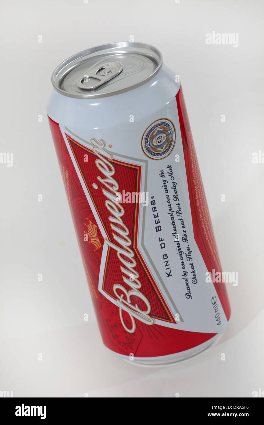 Can of Budweiser beer on white background Stock Photo - Alamy