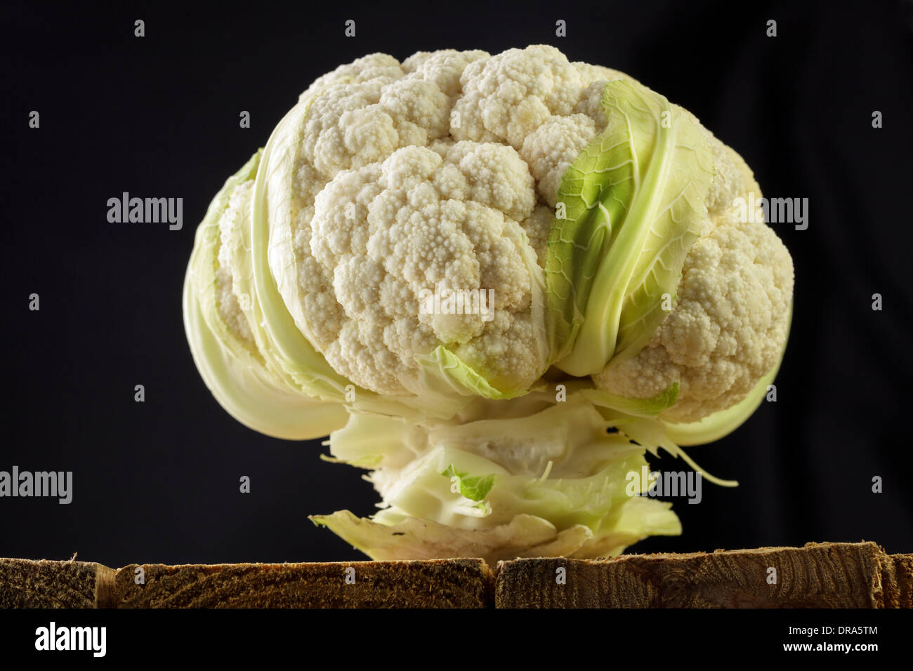 Cauliflower Stock Photo