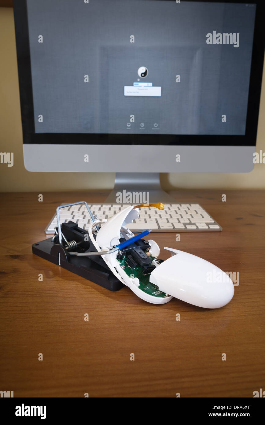 Computer mouse caught and broken in two in a mousetrap rattrap with inners wires  hanging out unable to login to pc Stock Photo