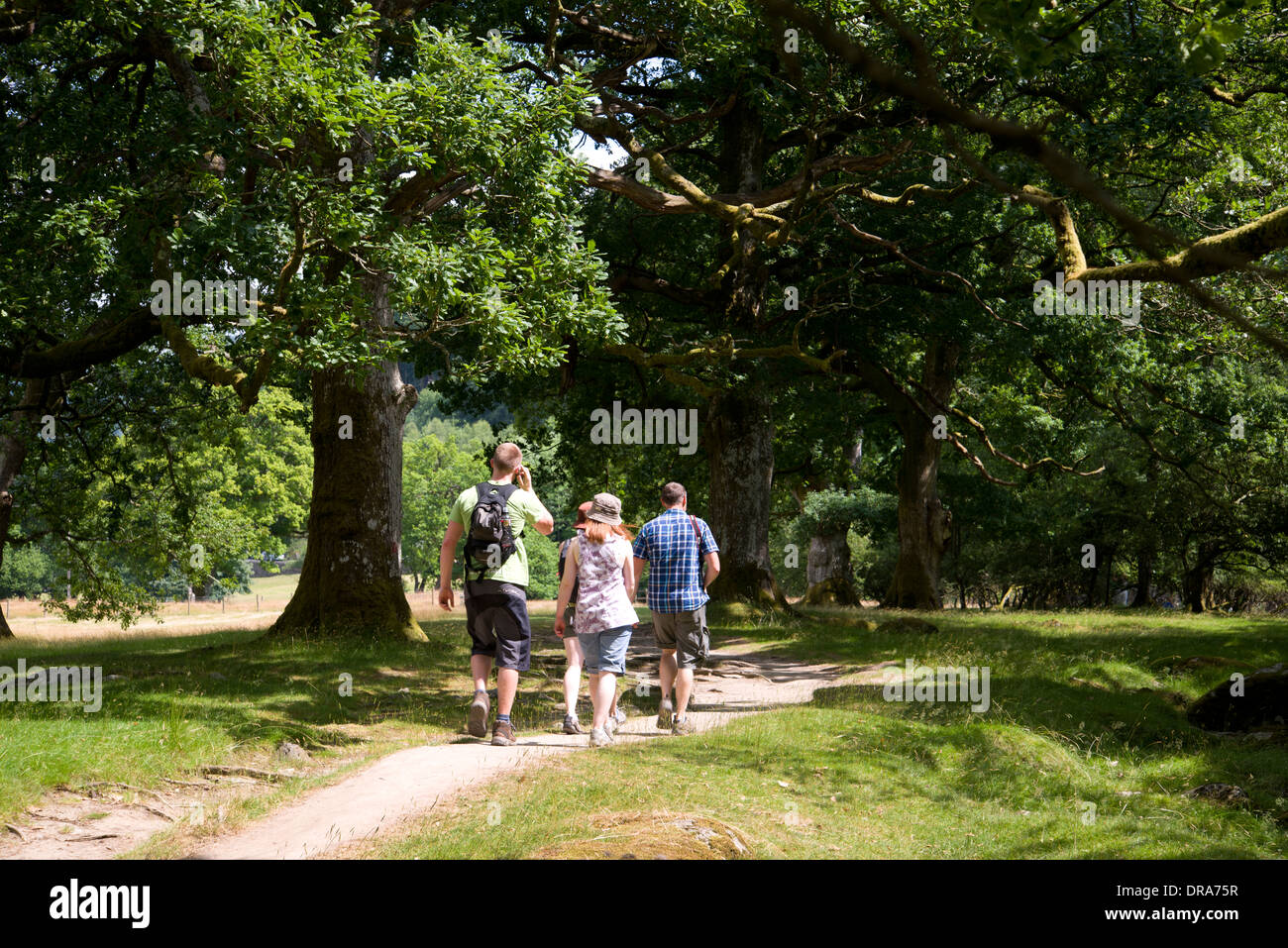 Walking, walkers, hiking, winding path, trees, wide open spaces, vacation, holiday, summer, ram shackle house, abandoned Stock Photo