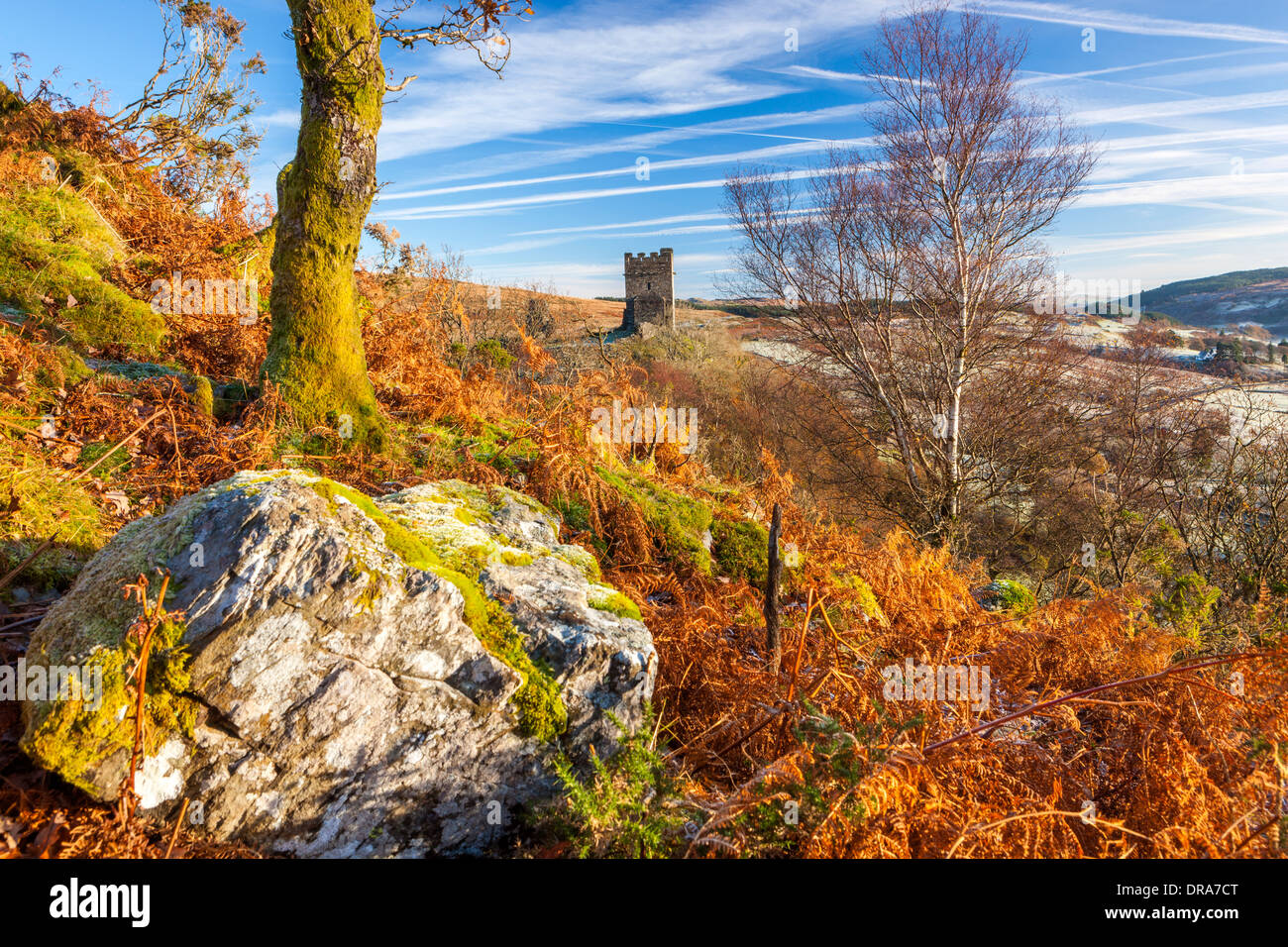 Dolwyddelan Castle (Welsh: Castell Dolwyddelan) was a native Welsh ...