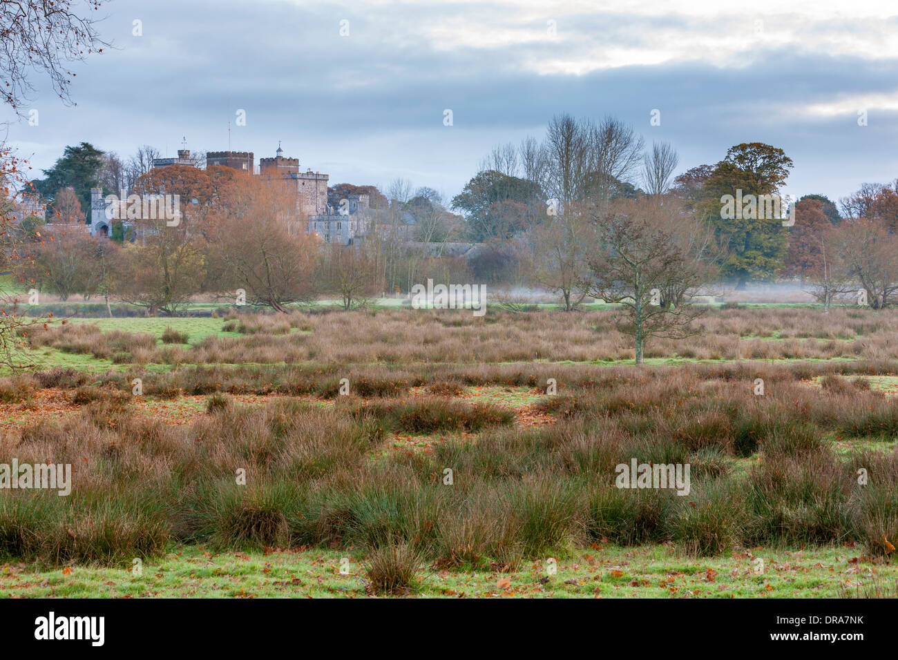 A view towards Powderham Castle, Kenton, Devon, England, UK, Europe Stock Photo Alamy
