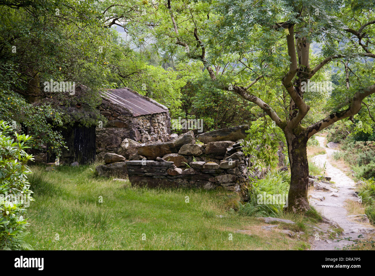Walking, walkers, hiking, winding path, trees, wide open spaces, vacation, holiday, summer, ram shackle house, abandoned, river Stock Photo