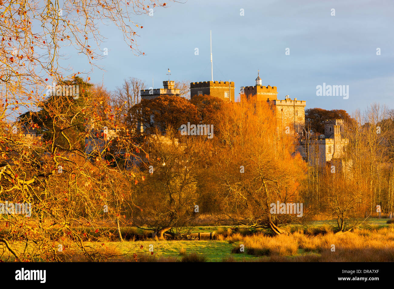 A view towards Powderham Castle, Kenton, Devon, England, UK, Europe Stock Photo Alamy