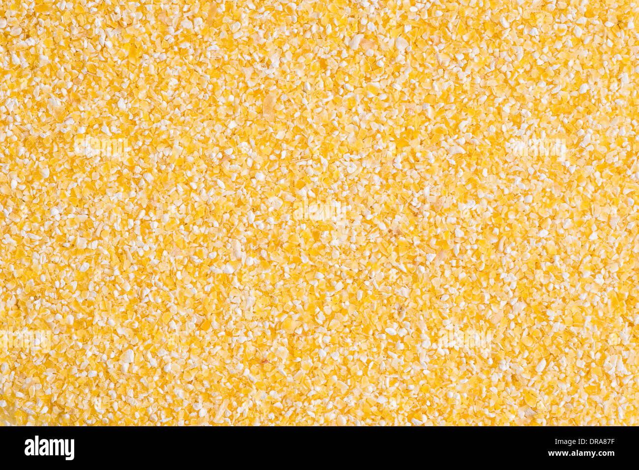 Corn grits background, hi-res closeup shot. Stock Photo