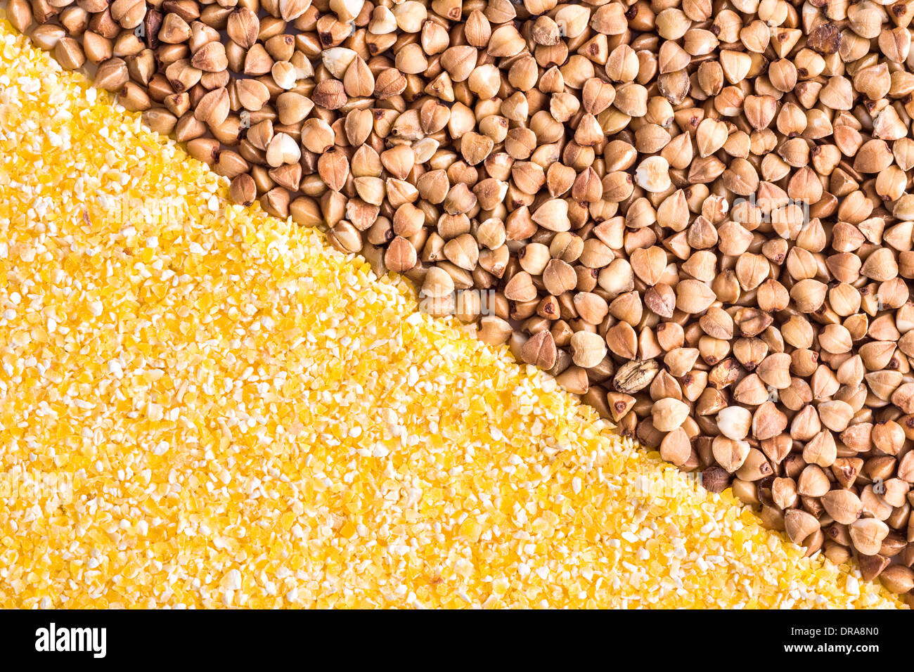 Corn grits and buckwheat background, diagonal split. Stock Photo