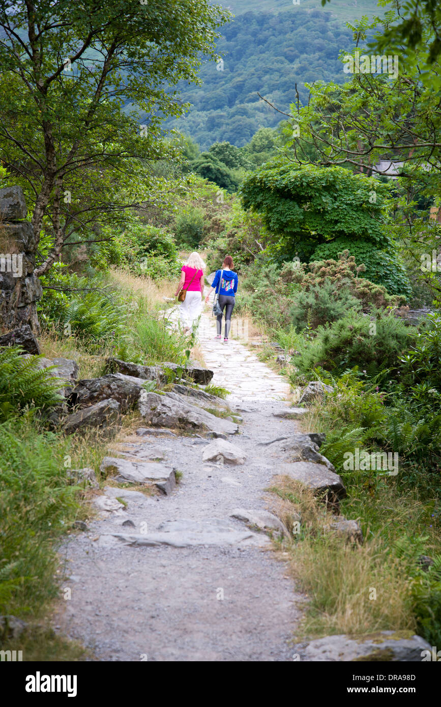 Walking, walkers, hiking, winding path, trees, wide open spaces, vacation, holiday, summer, Stock Photo