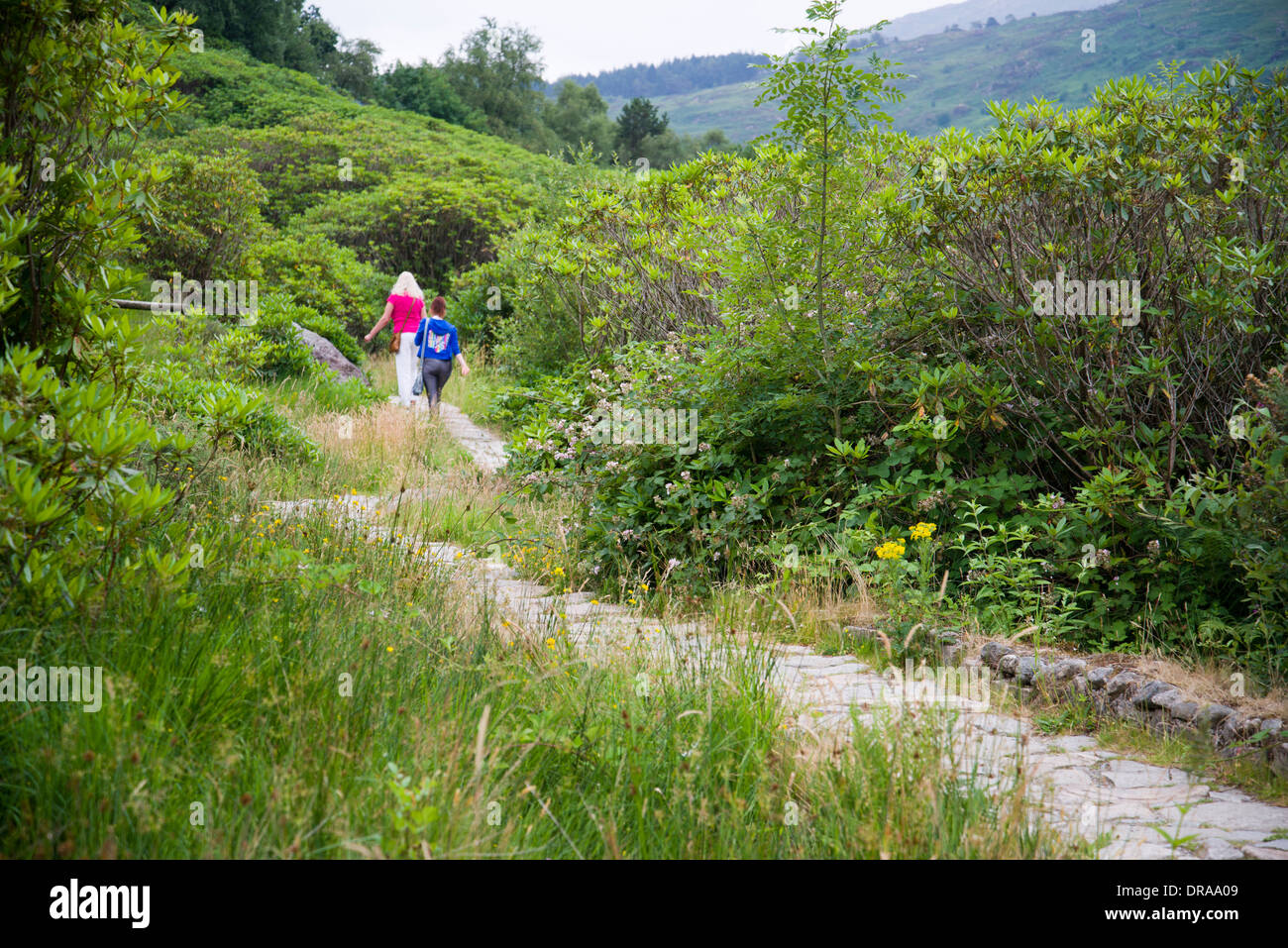 Walking, walkers, hiking, winding path, trees, wide open spaces, vacation, holiday, summer, Stock Photo