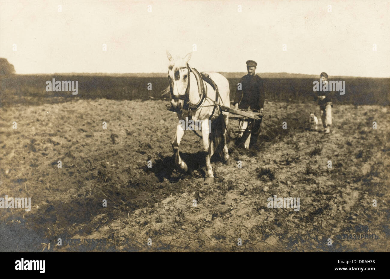 Day of agricultural worker in Russia: date Day of agricultural worker in Russia: date