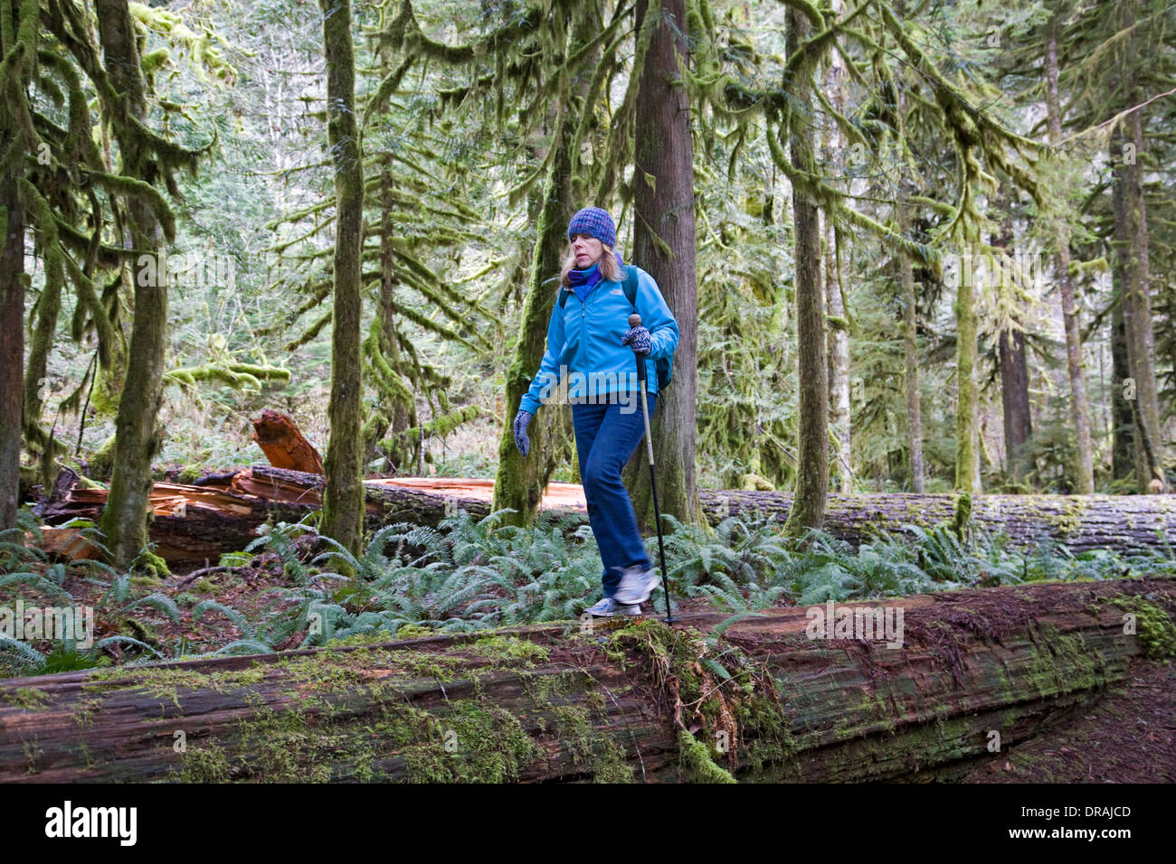 lower salmon river trail