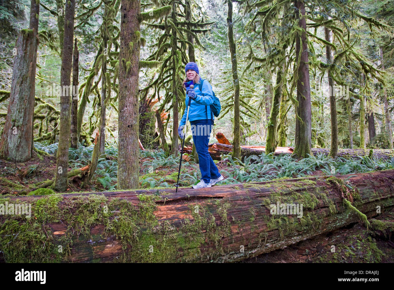 lower salmon river trail