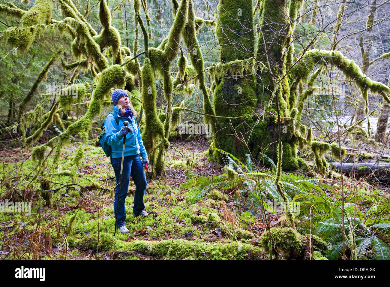 lower salmon river trail
