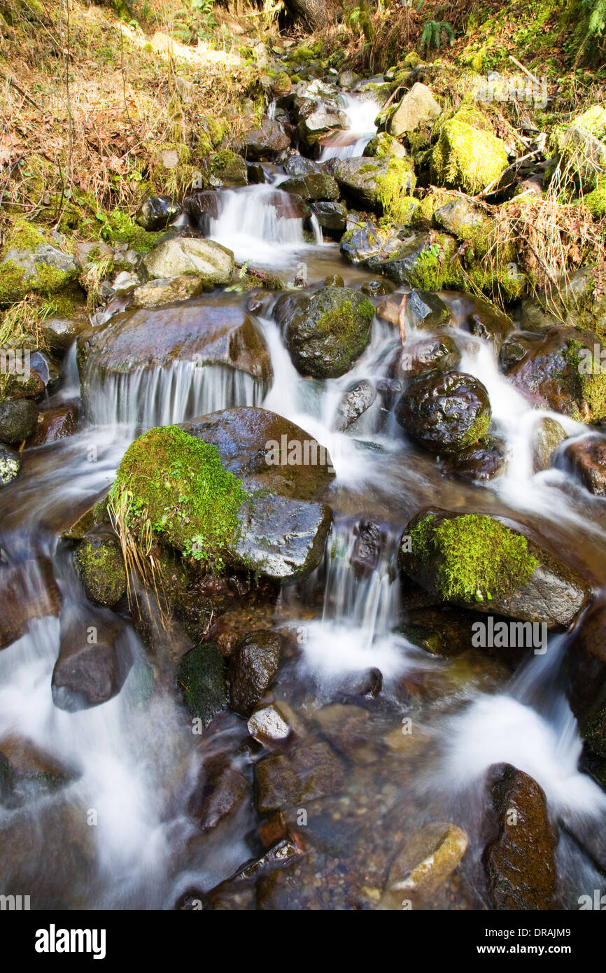 lower salmon river trail