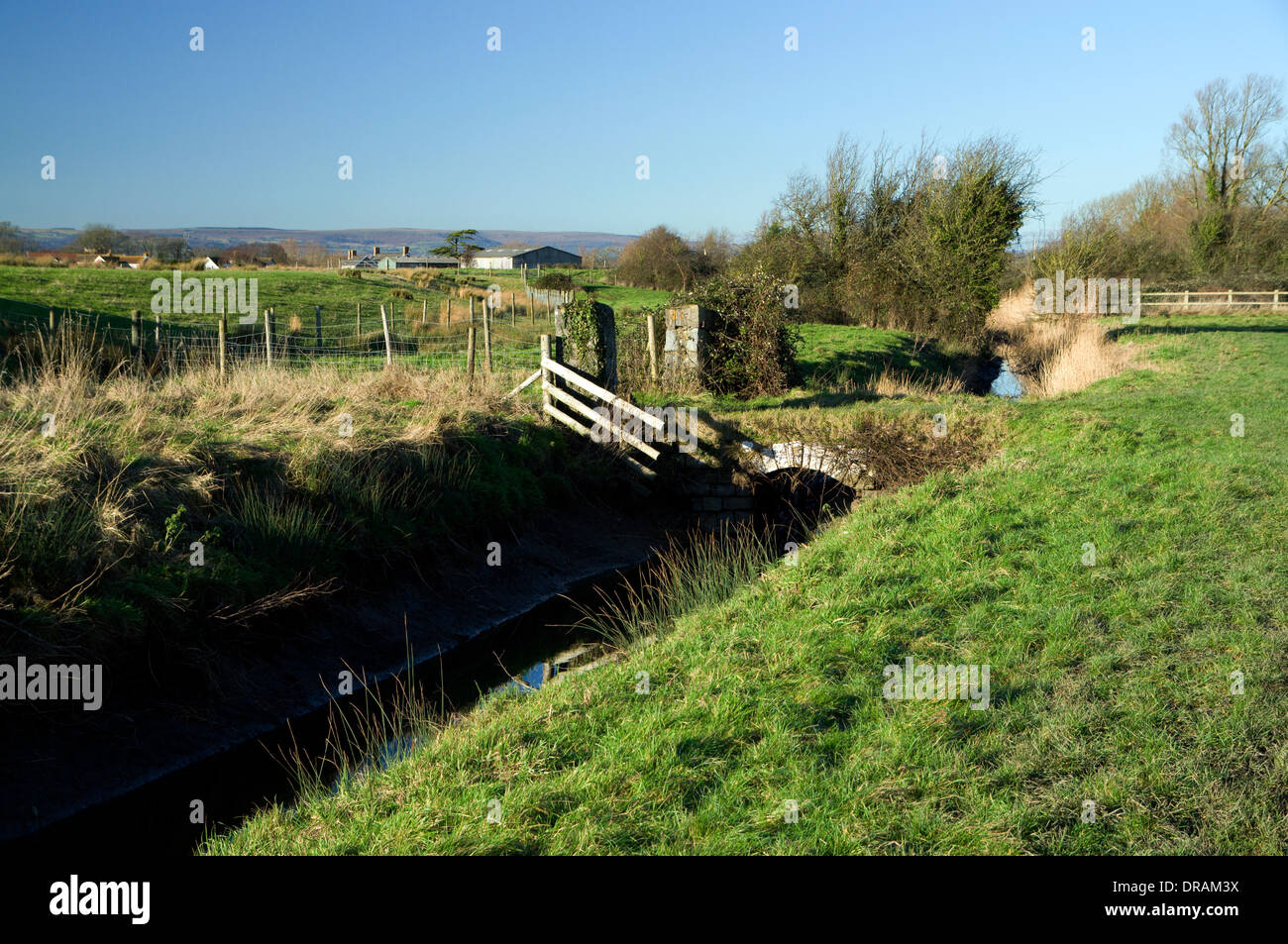 Reen on Gwent Levels  Wetland Nature Reserve near Newport, South Wales. Stock Photo